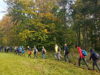 Zloty Lisc 2021 (26)